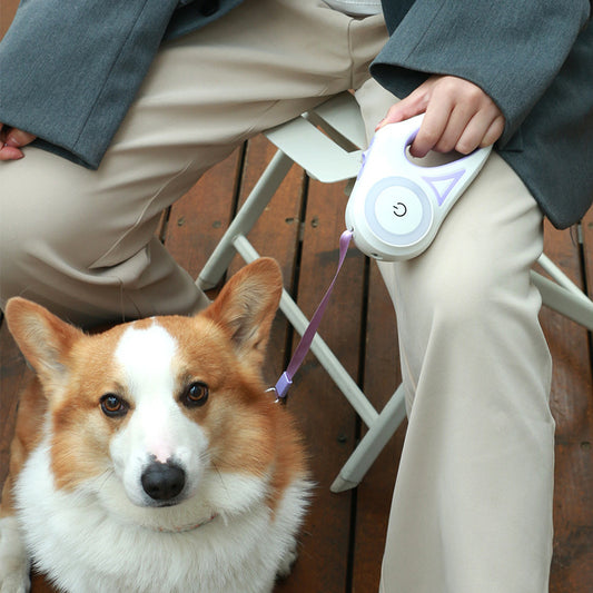 Dog Leash Retractable Leash And Dog