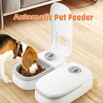 Automatic Pet Feeder with Timer & Stainless Steel Bow